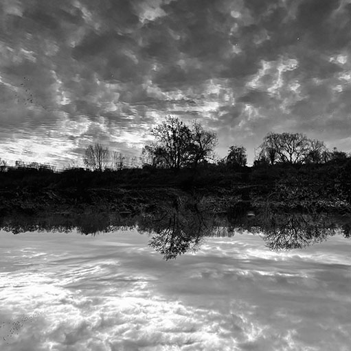 Something completely different