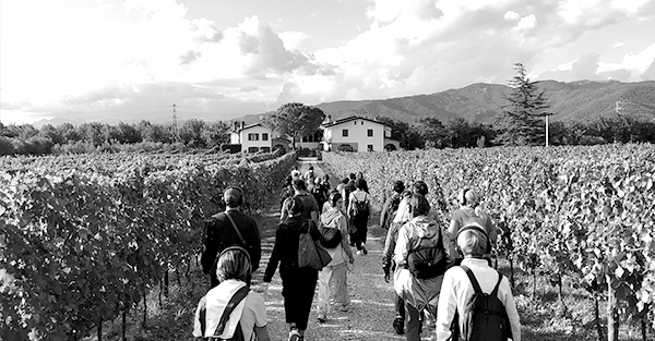 Remote Cividale del Friuli